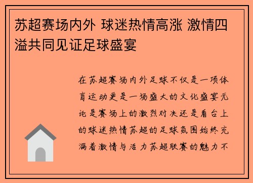 苏超赛场内外 球迷热情高涨 激情四溢共同见证足球盛宴